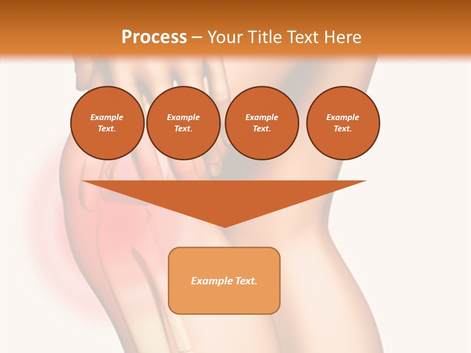 Anatomical Knee Care PowerPoint Template
