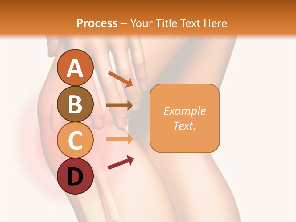 Anatomical Knee Care PowerPoint Template