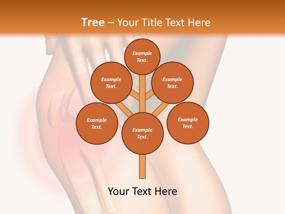 Anatomical Knee Care PowerPoint Template