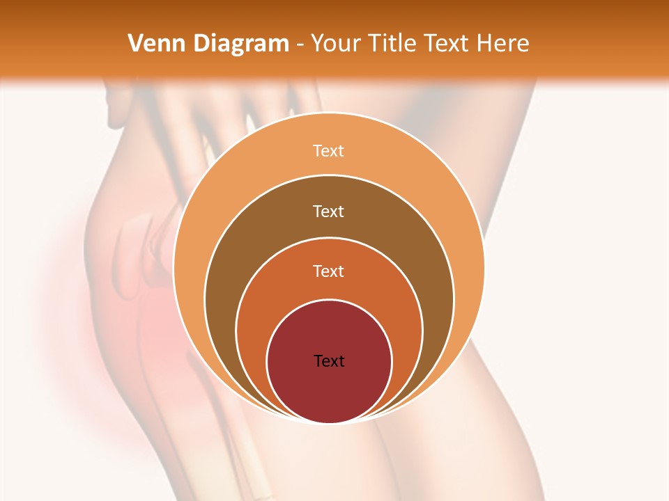 Anatomical Knee Care PowerPoint Template
