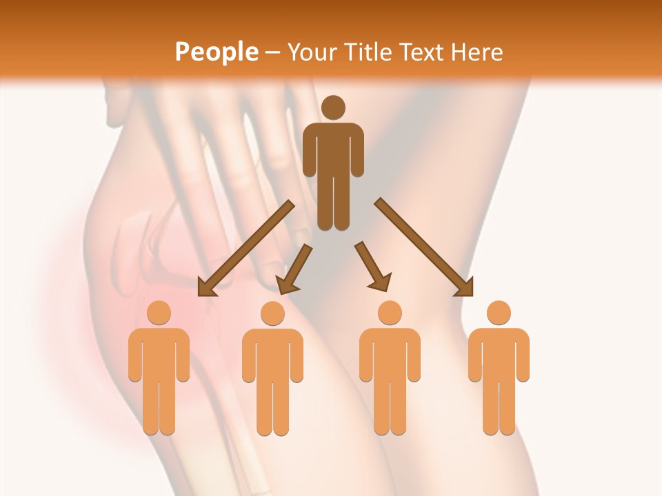 Anatomical Knee Care PowerPoint Template