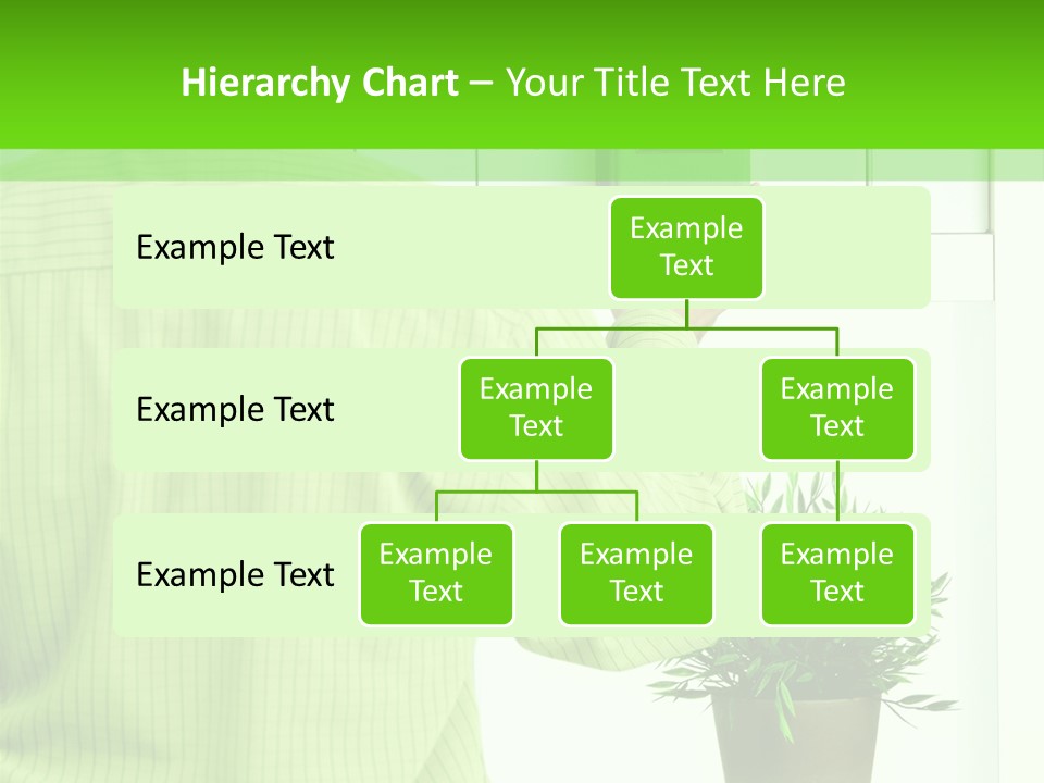 Years Image Environmentalist PowerPoint Template
