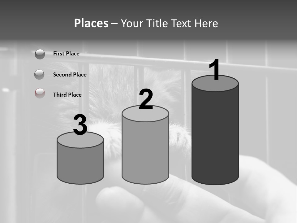Fingers Alone Pet PowerPoint Template