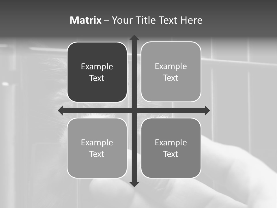 Fingers Alone Pet PowerPoint Template