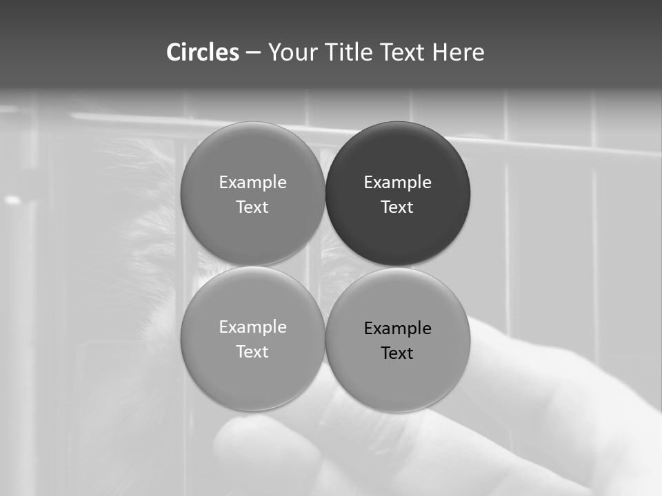 Fingers Alone Pet PowerPoint Template