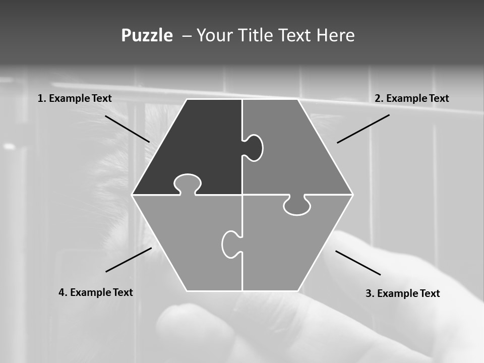 Fingers Alone Pet PowerPoint Template