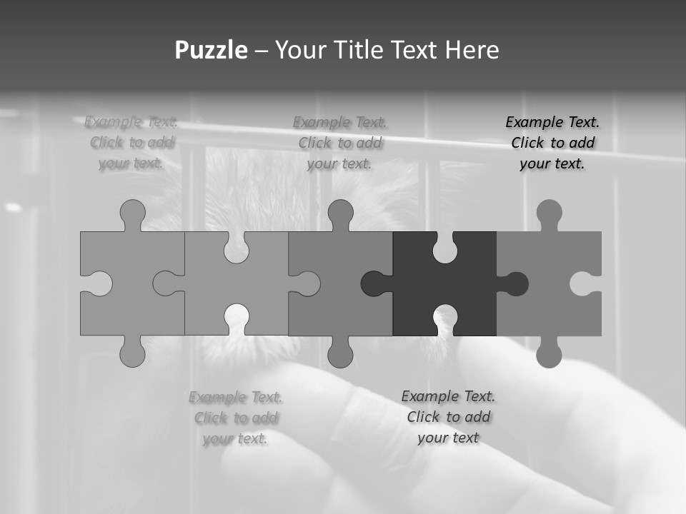 Fingers Alone Pet PowerPoint Template