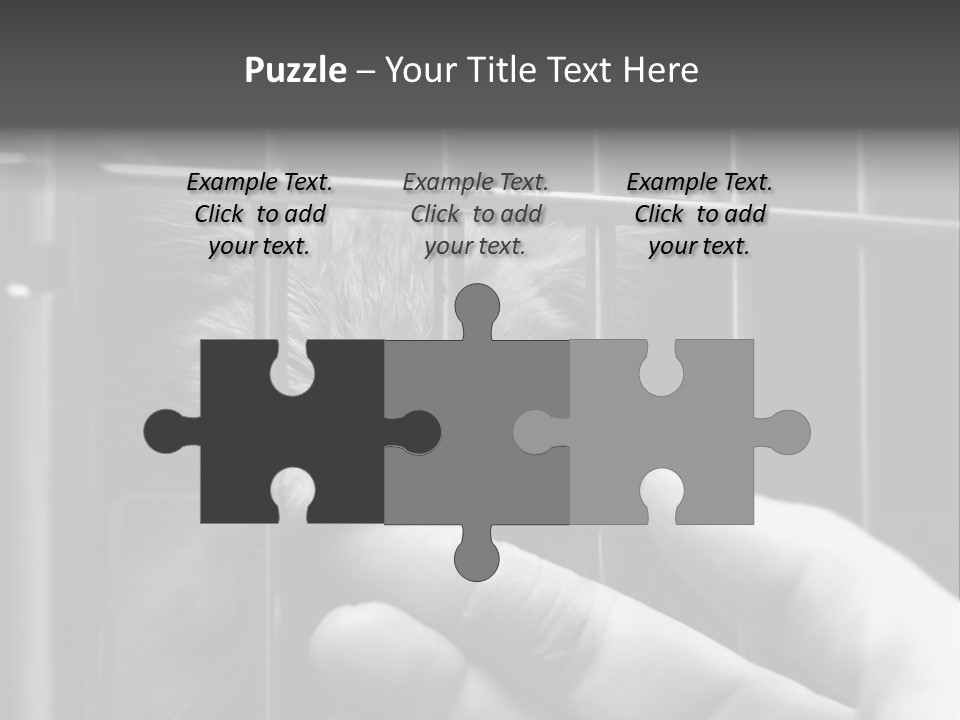 Fingers Alone Pet PowerPoint Template