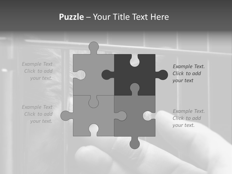 Fingers Alone Pet PowerPoint Template