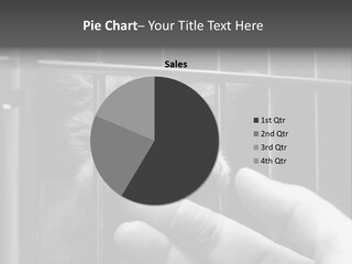 Fingers Alone Pet PowerPoint Template