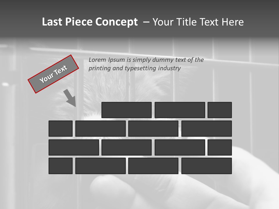Fingers Alone Pet PowerPoint Template