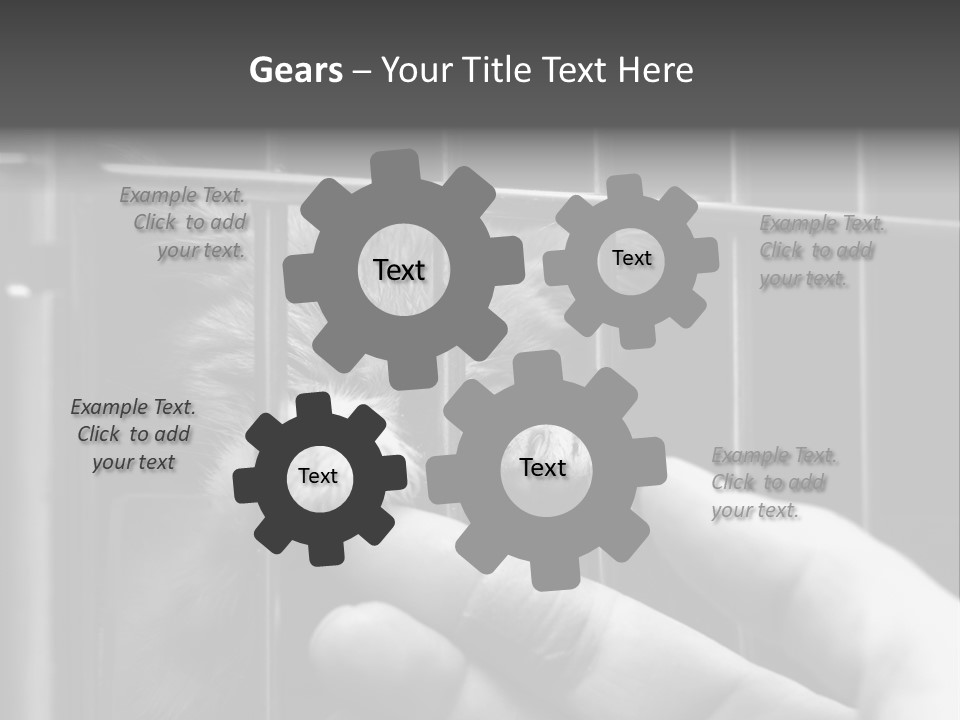 Fingers Alone Pet PowerPoint Template