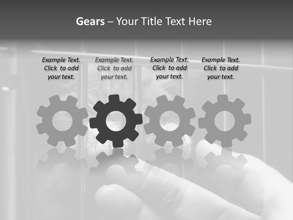 Fingers Alone Pet PowerPoint Template