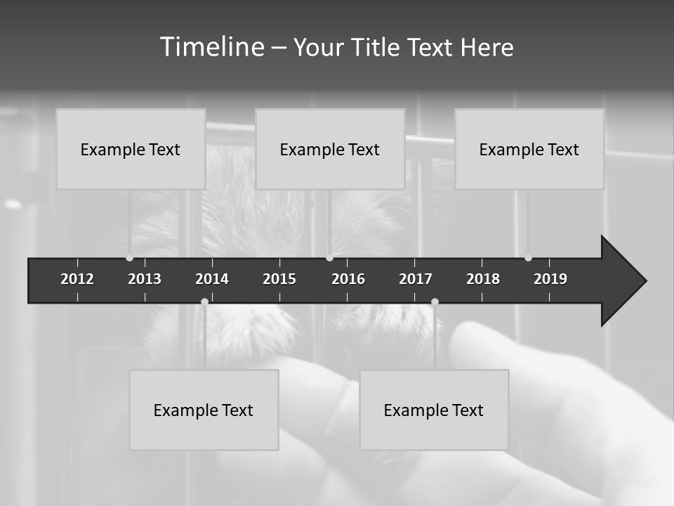 Fingers Alone Pet PowerPoint Template