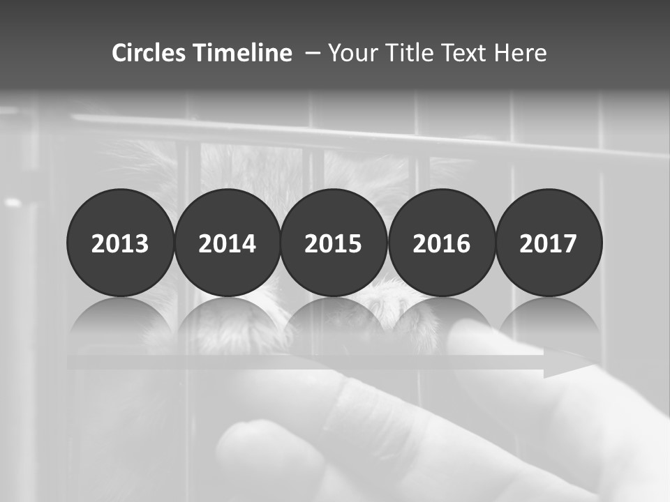 Fingers Alone Pet PowerPoint Template