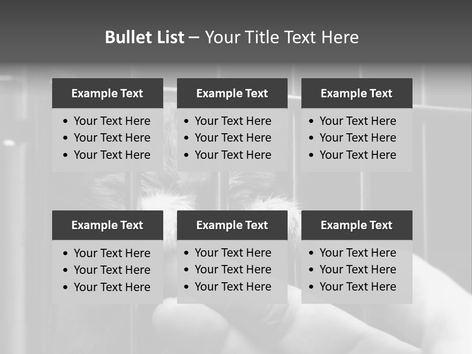 Fingers Alone Pet PowerPoint Template
