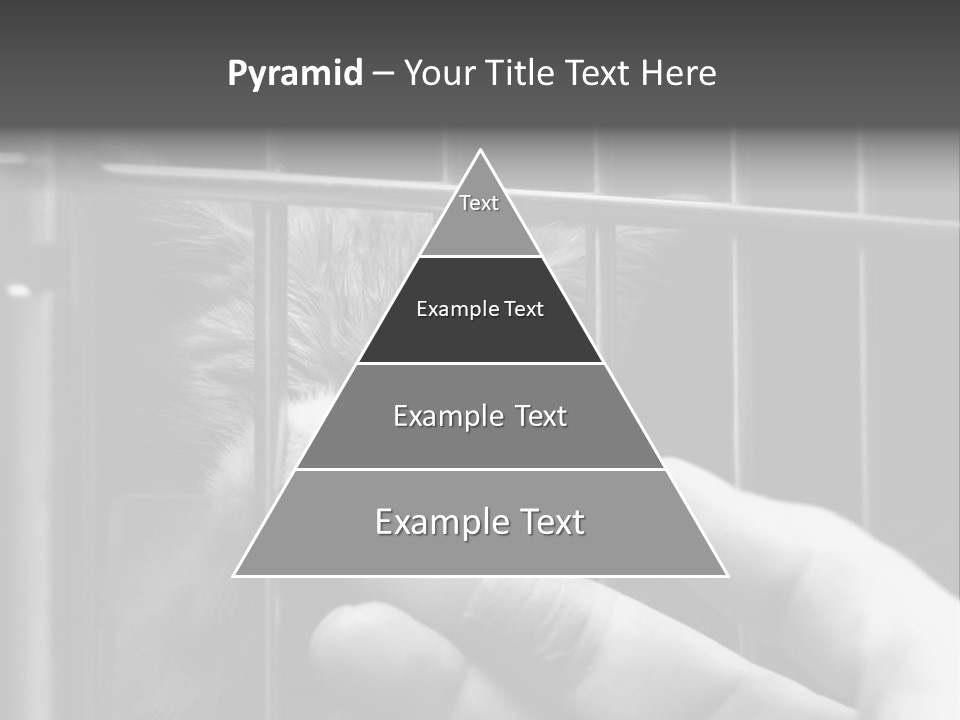 Fingers Alone Pet PowerPoint Template