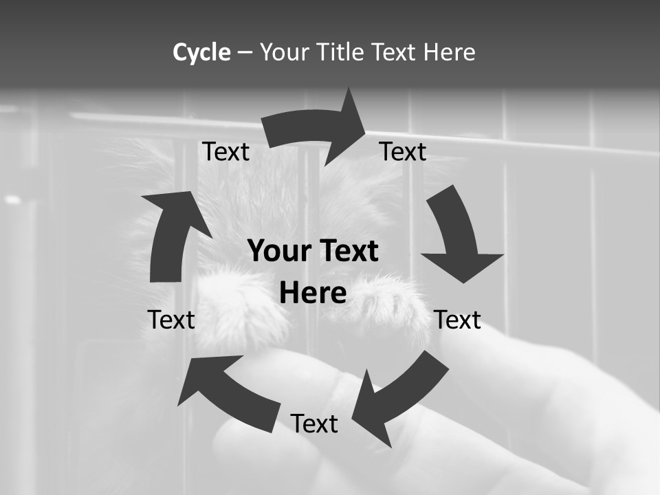 Fingers Alone Pet PowerPoint Template