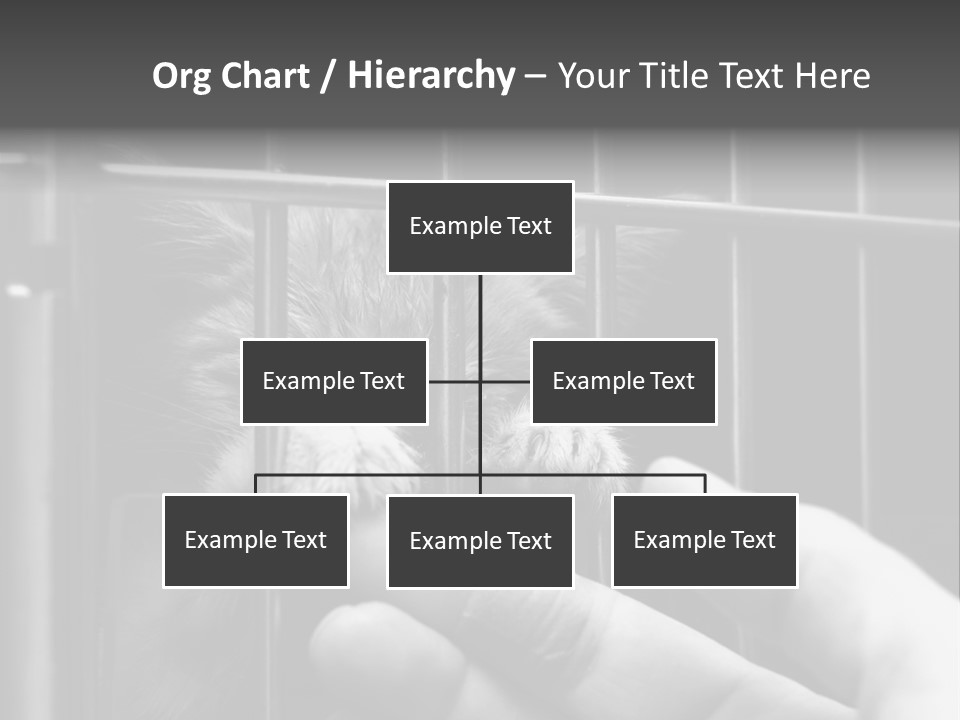 Fingers Alone Pet PowerPoint Template