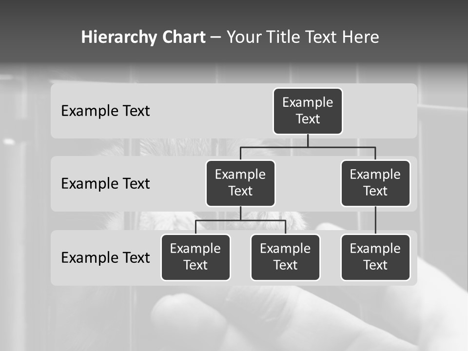 Fingers Alone Pet PowerPoint Template