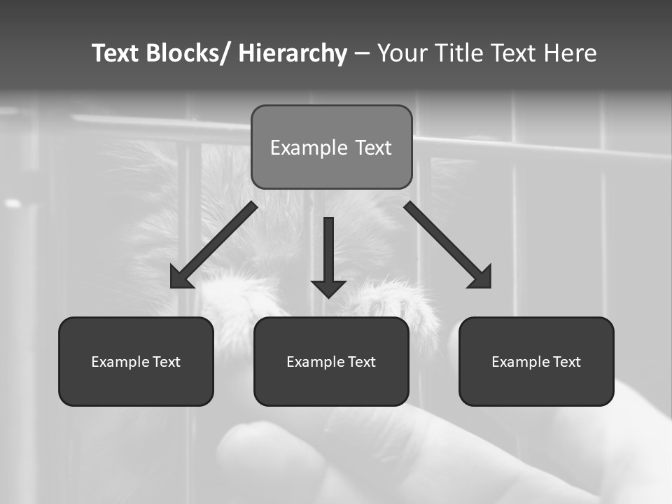 Fingers Alone Pet PowerPoint Template