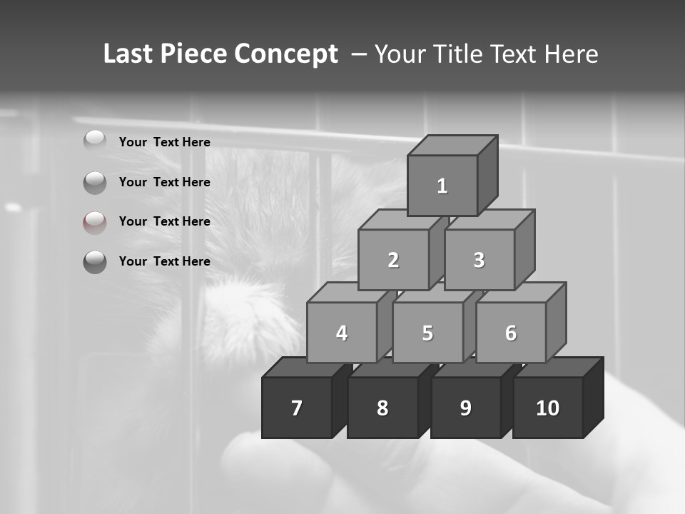 Fingers Alone Pet PowerPoint Template