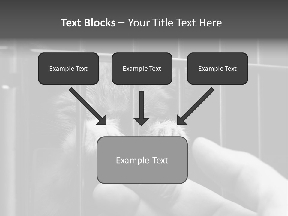 Fingers Alone Pet PowerPoint Template