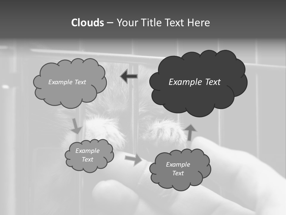 Fingers Alone Pet PowerPoint Template