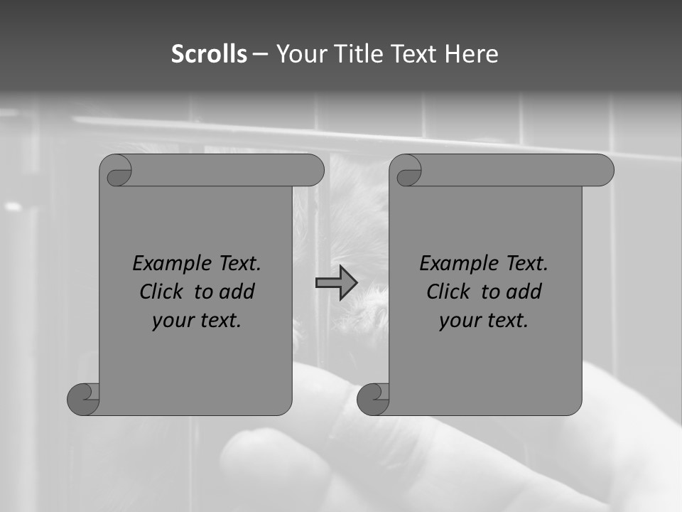 Fingers Alone Pet PowerPoint Template