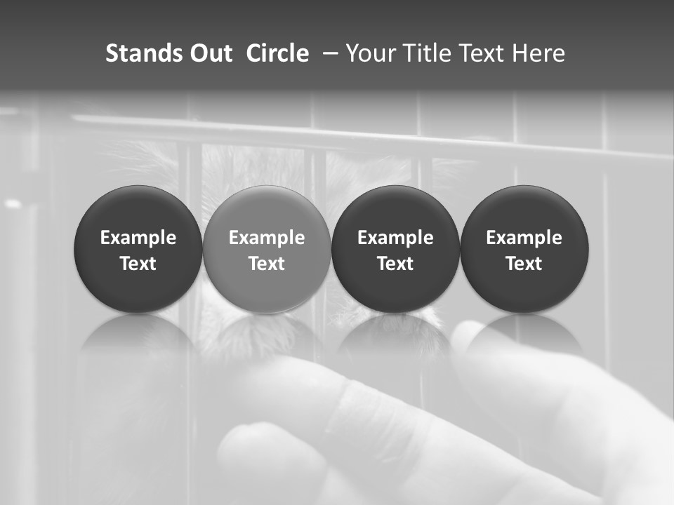 Fingers Alone Pet PowerPoint Template