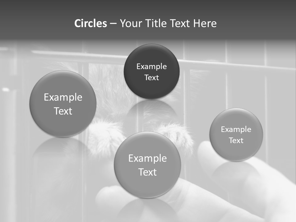 Fingers Alone Pet PowerPoint Template