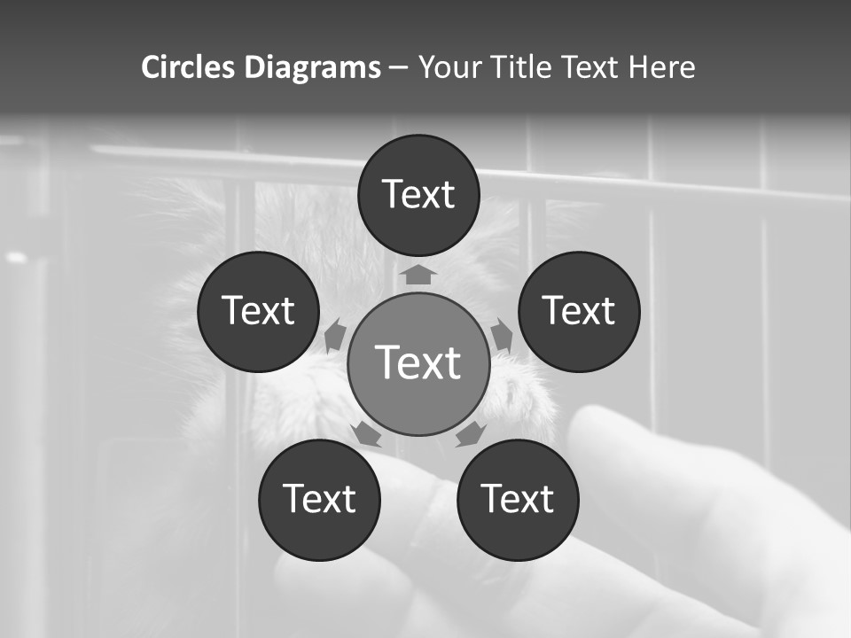 Fingers Alone Pet PowerPoint Template