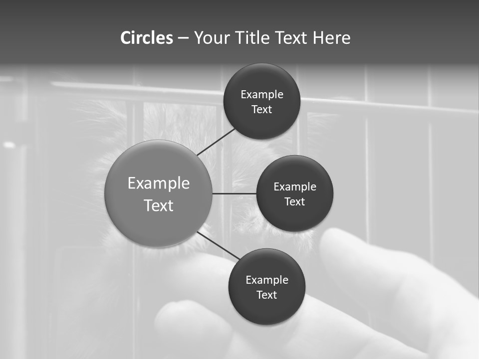 Fingers Alone Pet PowerPoint Template