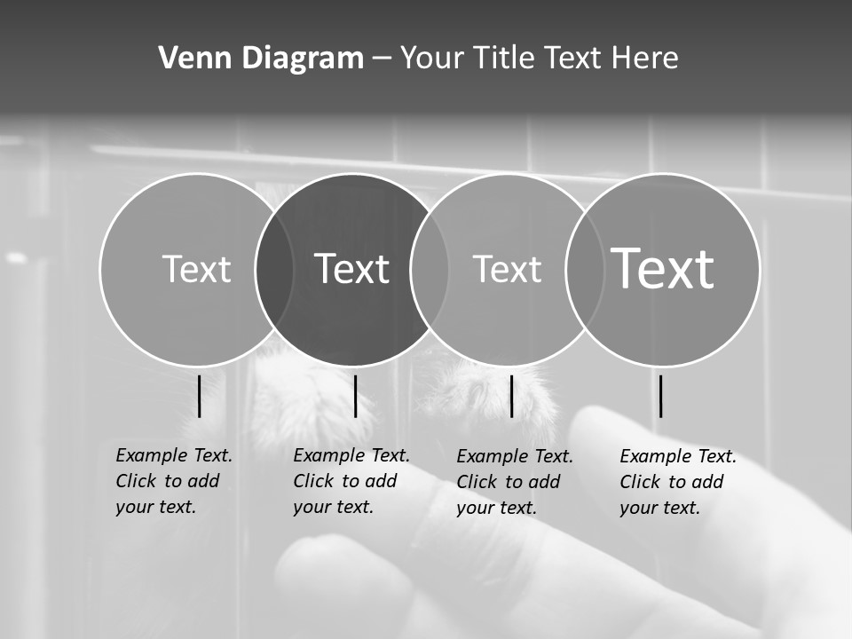 Fingers Alone Pet PowerPoint Template