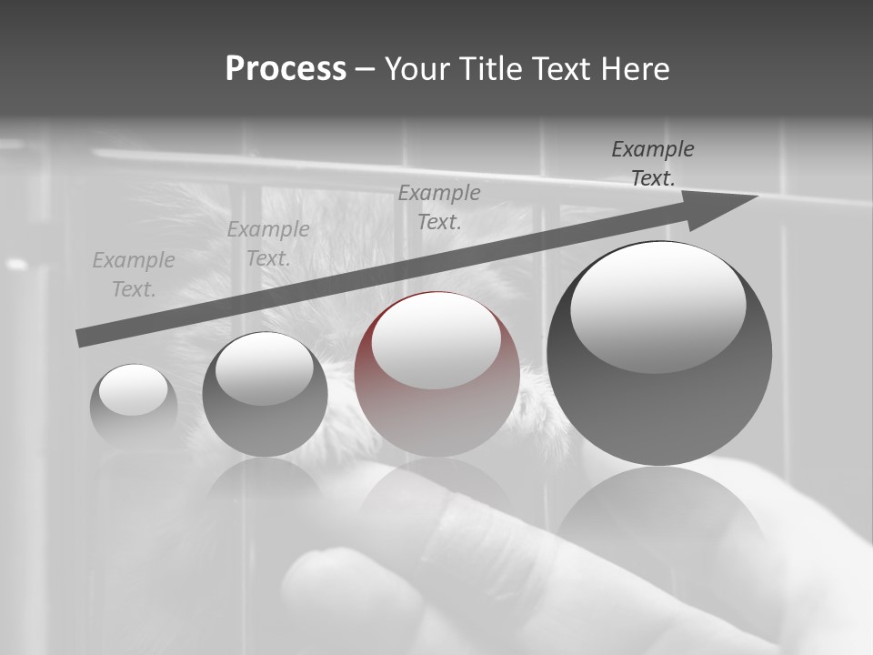 Fingers Alone Pet PowerPoint Template