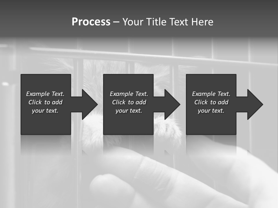 Fingers Alone Pet PowerPoint Template