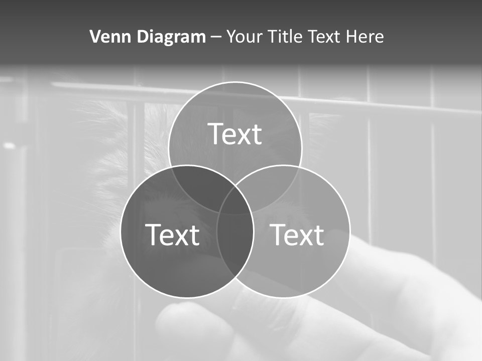 Fingers Alone Pet PowerPoint Template