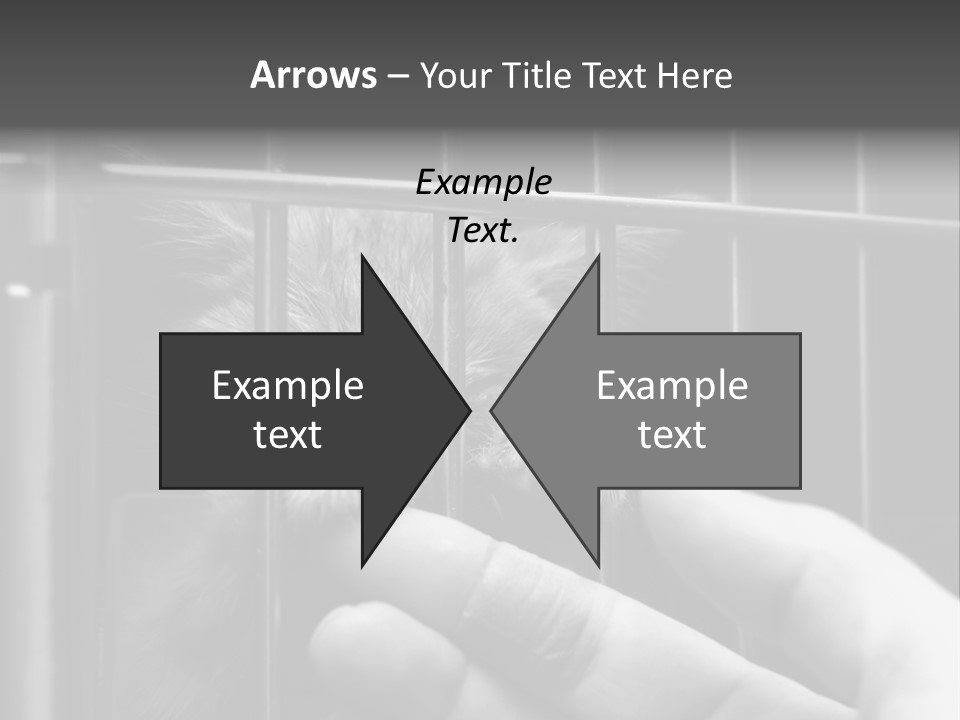Fingers Alone Pet PowerPoint Template