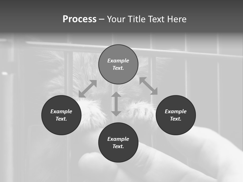 Fingers Alone Pet PowerPoint Template