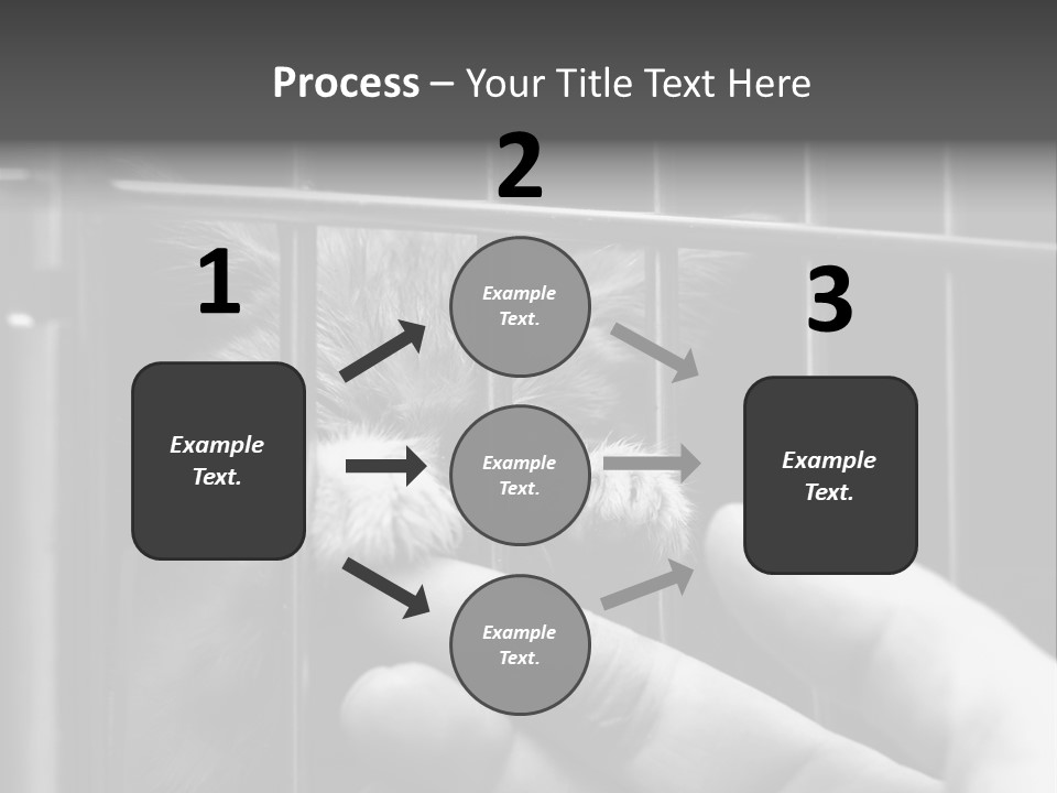 Fingers Alone Pet PowerPoint Template