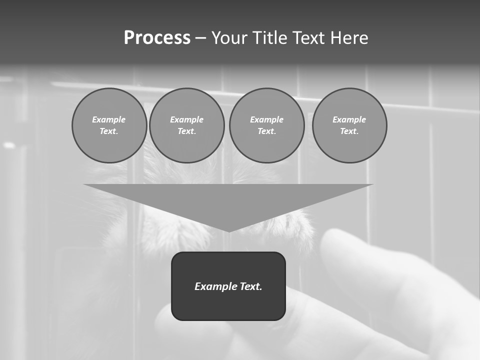 Fingers Alone Pet PowerPoint Template