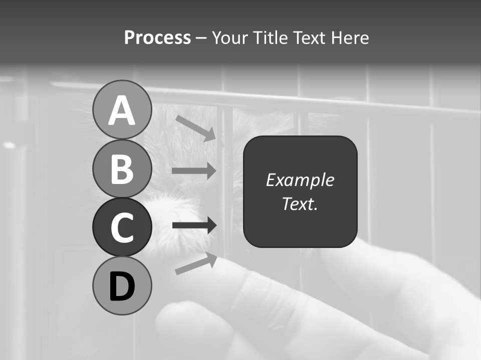 Fingers Alone Pet PowerPoint Template