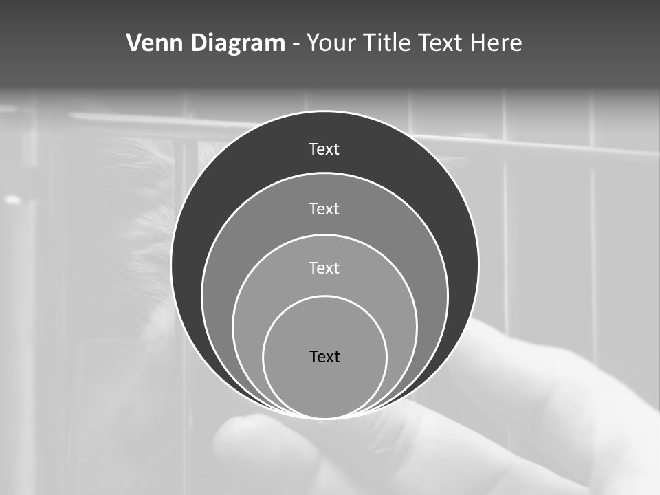 Fingers Alone Pet PowerPoint Template