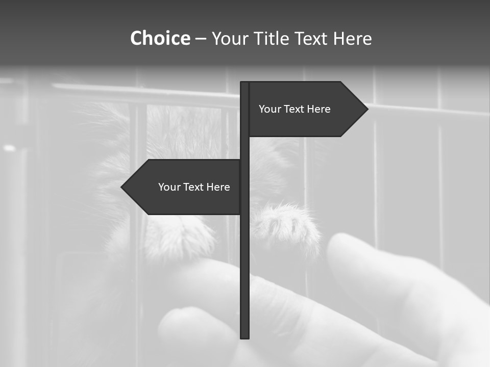 Fingers Alone Pet PowerPoint Template