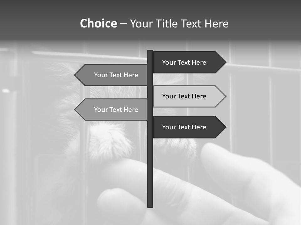 Fingers Alone Pet PowerPoint Template