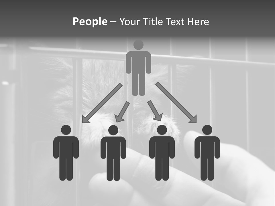 Fingers Alone Pet PowerPoint Template