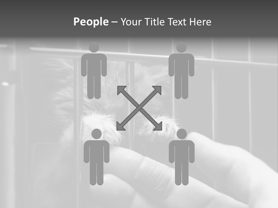 Fingers Alone Pet PowerPoint Template