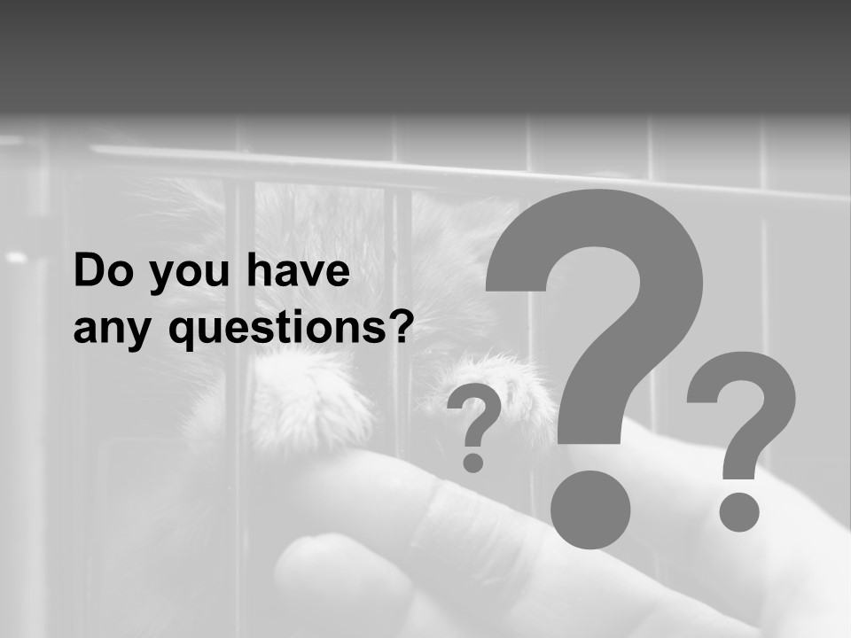 Fingers Alone Pet PowerPoint Template