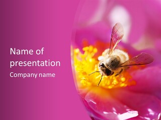 Botany Season Flower PowerPoint Template