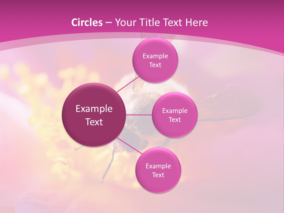 Botany Season Flower PowerPoint Template